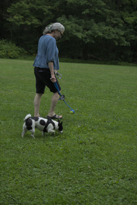 20250606_Flowers and dog park with Alice__DSC0087_.jpg