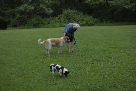 20250606_Flowers and dog park with Alice__DSC0089_.jpg