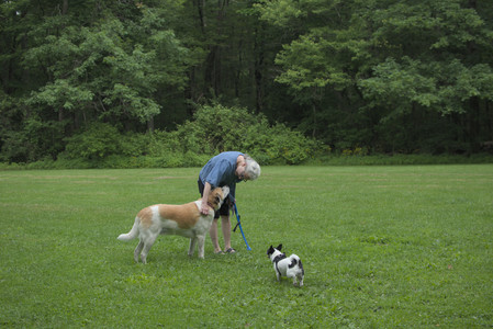 20250606_Flowers and dog park with Alice__DSC0094_.jpg