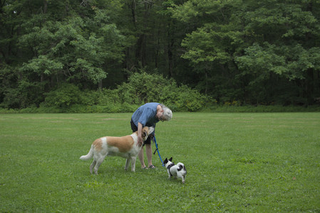 20250606_Flowers and dog park with Alice__DSC0096_.jpg