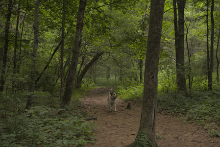 20250607_Dog park with Maggie__DSC0023_.jpg