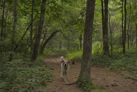 20250607_Dog park with Maggie__DSC0026_.jpg