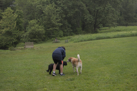20250607_Dog park with Maggie__DSC0044_.jpg