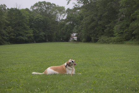 20250607_Dog park with Maggie__DSC0050_.jpg