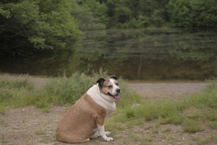 20250607_Dog park with Maggie__DSC0052_.jpg