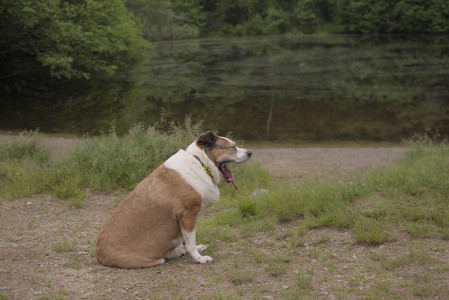 20250607_Dog park with Maggie__DSC0055_.jpg