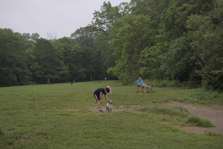 20250607_Dog park with Maggie__DSC0064_.jpg