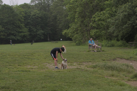 20250607_Dog park with Maggie__DSC0065_.jpg