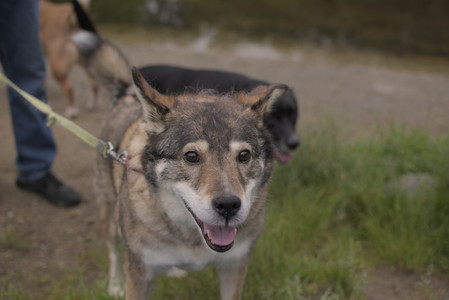 20250607_Dog park with Maggie__DSC0071_.jpg