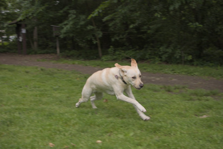 20250607_Dog park with Maggie__DSC0090_.jpg