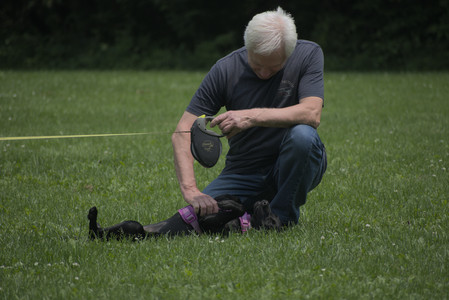 20250608_Dog park__DSC0017_.jpg