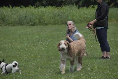 20250608_Dog park__DSC0042_.jpg