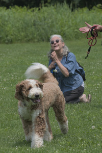 20250608_Dog park__DSC0044_.jpg