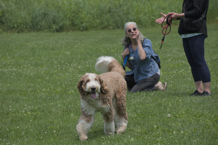 20250608_Dog park__DSC0045_.jpg
