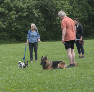 20250608_Dog park__DSC0050_.jpg