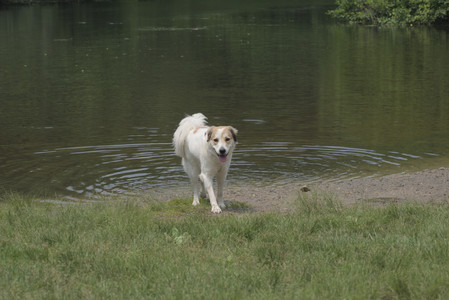 20250608_Dog park__DSC0066_.jpg