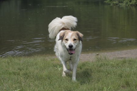 20250608_Dog park__DSC0079_.jpg