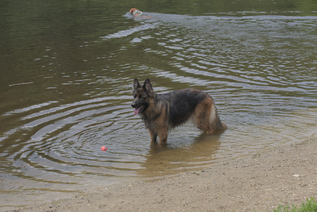 20250608_Dog park__DSC0088_.jpg