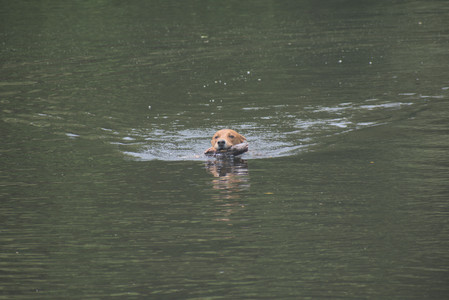 20250608_Dog park__DSC0090_.jpg