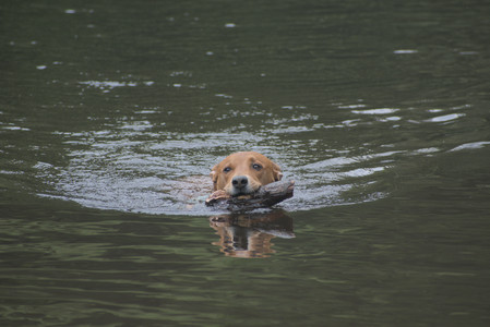 20250608_Dog park__DSC0094_.jpg