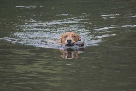 20250608_Dog park__DSC0097_.jpg