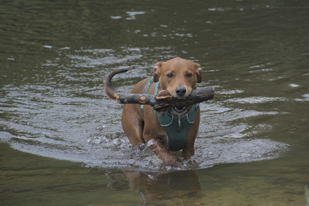20250608_Dog park__DSC0099_.jpg
