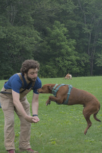 20250608_Dog park__DSC0115_.jpg
