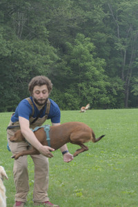 20250608_Dog park__DSC0116_.jpg