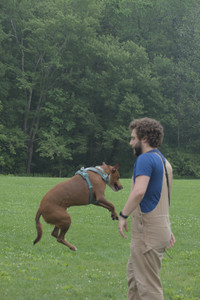 20250608_Dog park__DSC0120_.jpg