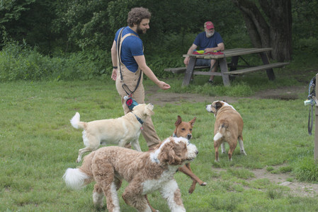 20250608_Dog park__DSC0126_.jpg