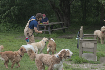 20250608_Dog park__DSC0127_.jpg