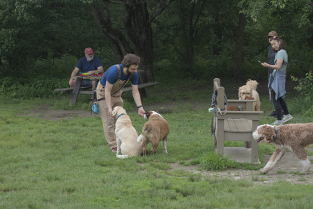 20250608_Dog park__DSC0130_.jpg