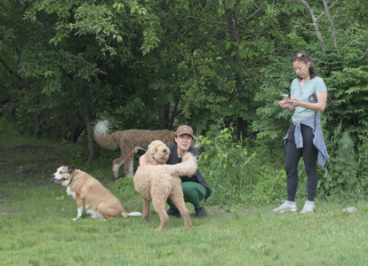 20250608_Dog park__DSC0136_.jpg