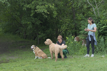 20250608_Dog park__DSC0138_.jpg