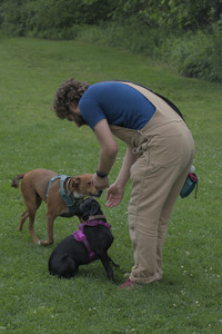 20250608_Dog park__DSC0142_.jpg