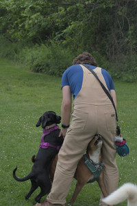 20250608_Dog park__DSC0144_.jpg