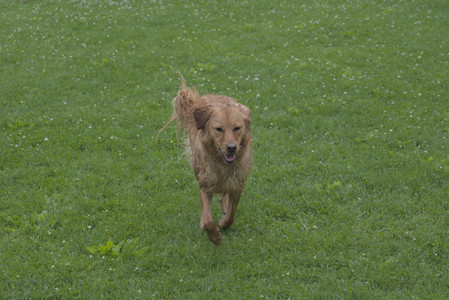 20250608_Dog park__DSC0150_.jpg