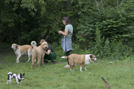 20250608_Dog park__DSC0154_.jpg