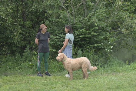 20250608_Dog park__DSC0160_.jpg