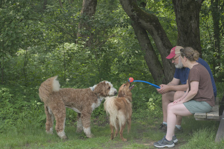 20250608_Dog park__DSC0165_.jpg