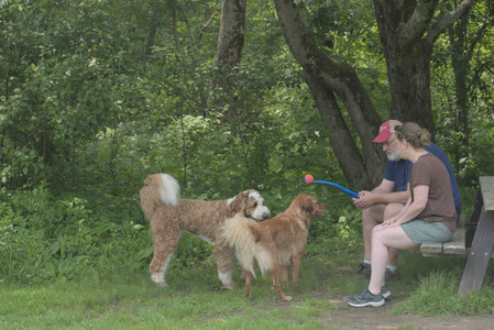 20250608_Dog park__DSC0166_.jpg