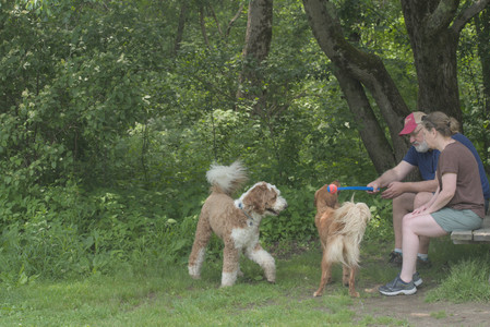 20250608_Dog park__DSC0168_.jpg