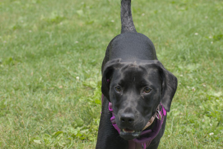 20250608_Dog park__DSC0181_.jpg