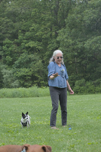 20250608_Dog park__DSC0187_.jpg