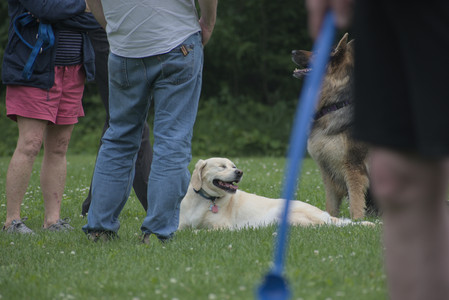 20250608_Dog park__DSC0193_.jpg