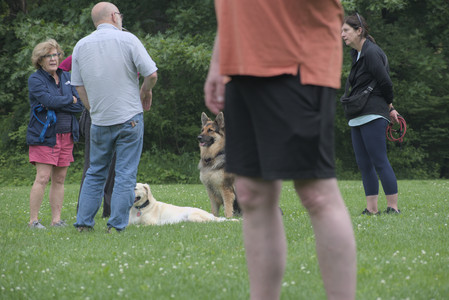 20250608_Dog park__DSC0194_.jpg