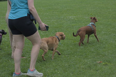20250608_Dog park__DSC0196_.jpg