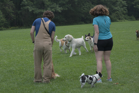 20250608_Dog park__DSC0209_.jpg
