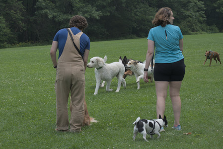 20250608_Dog park__DSC0210_.jpg