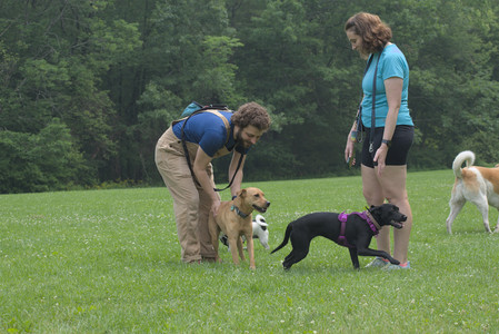 20250608_Dog park__DSC0230_.jpg